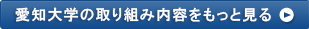 愛知大学の取り組み内容をもっと見る